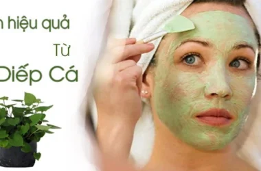 Dùng bột diếp cá đắp mặt có tốt không?