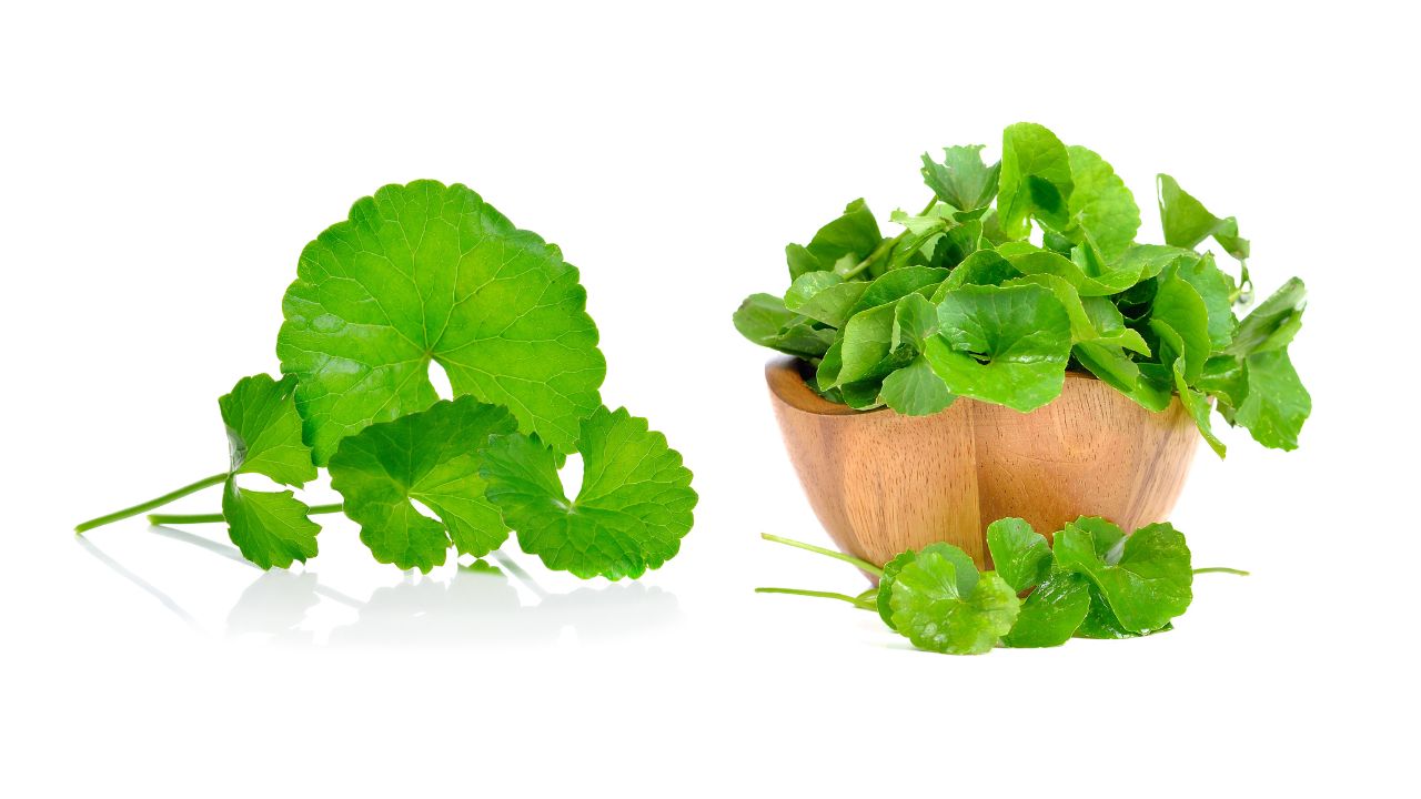 Ăn rau má nhiều có tốt không
