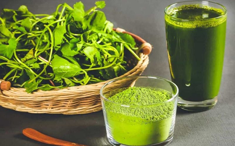 công dụng của bột rau má