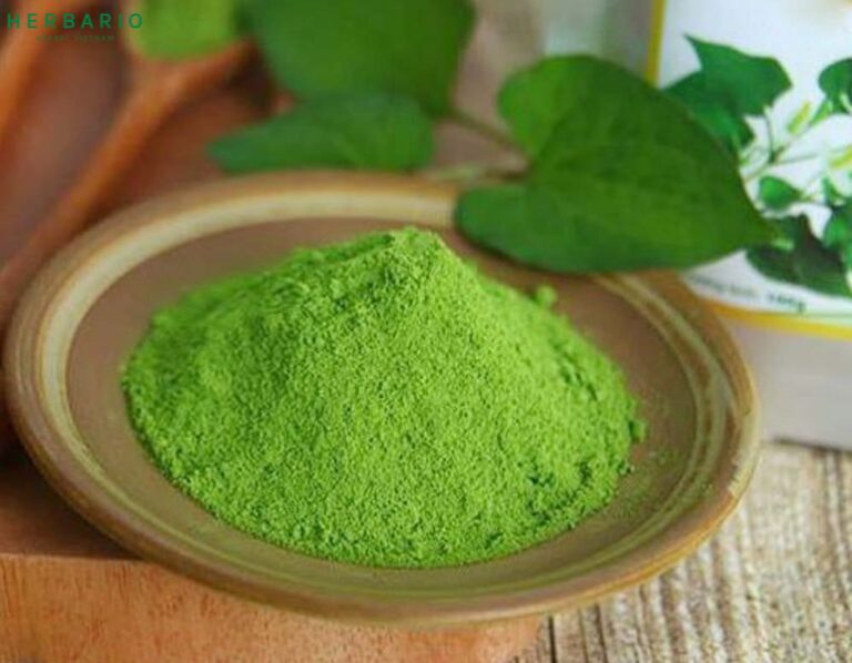 Bột diếp cá có tác dụng gì? Sử dụng như thế nào