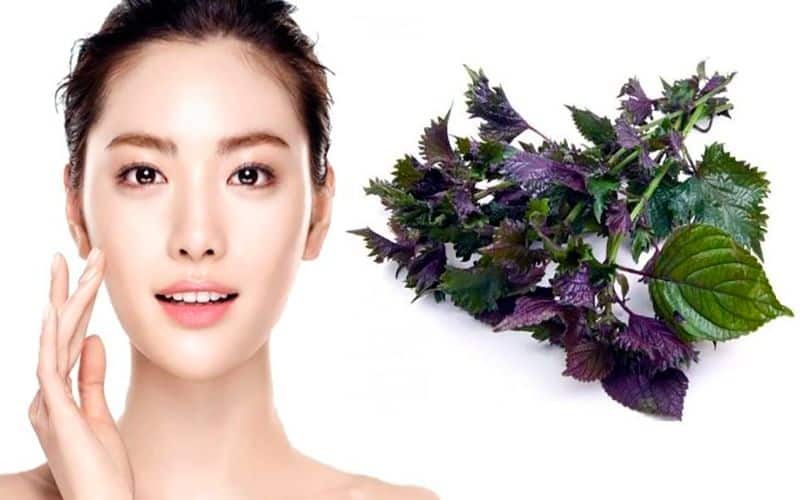 bột tía tô đắp mặt có tác dụng gì