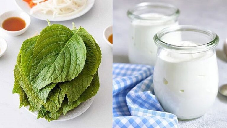 Cách làm bột tía tô tại nhà giúp sáng da, trị mụn hiệu quả