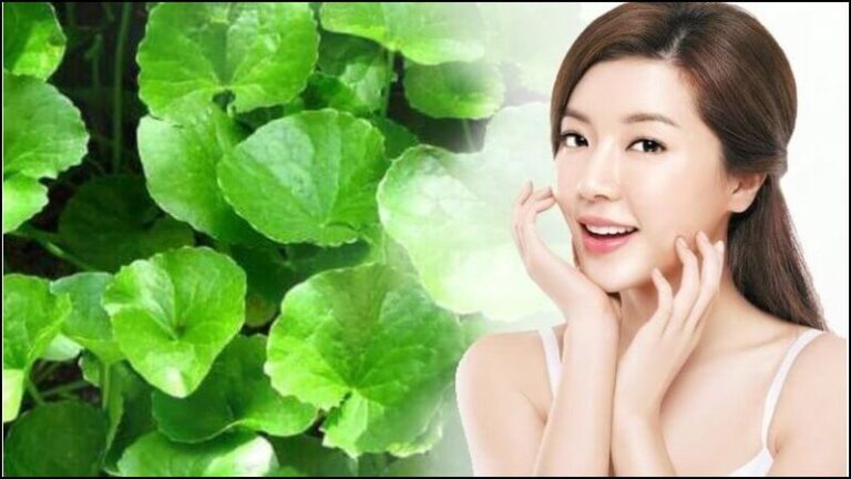 11 cách làm mặt nạ rau má trị mụn đơn giản tại nhà