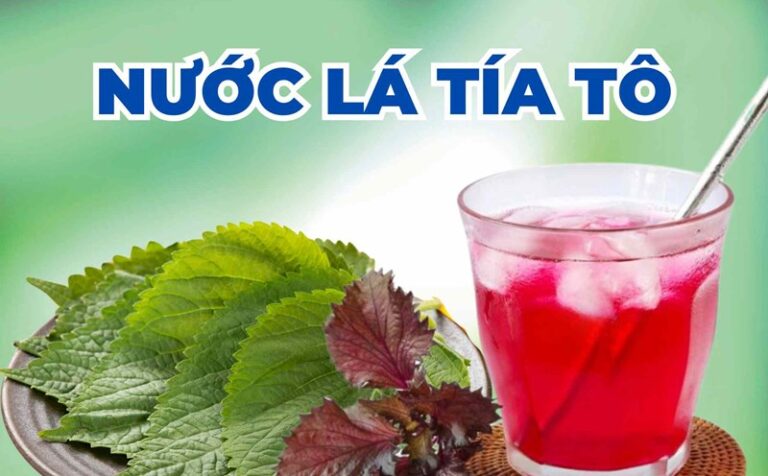 Những người không nên uống lá tía tô?