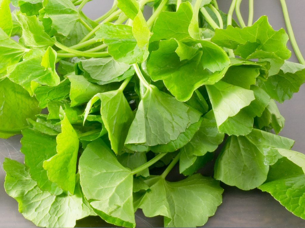 Những ai không nên uống nước rau má