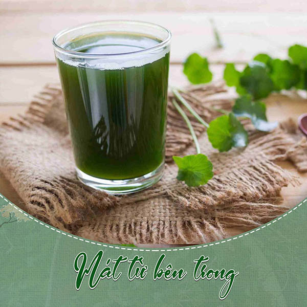 Pha chế nước ép từ bột rau má