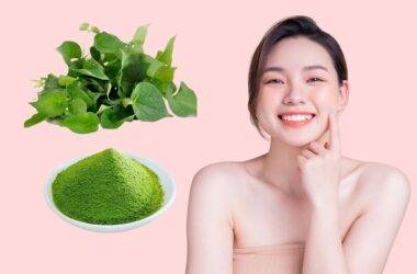 Cách làm bột diếp cá tại nhà mang lại hiệu quả cao