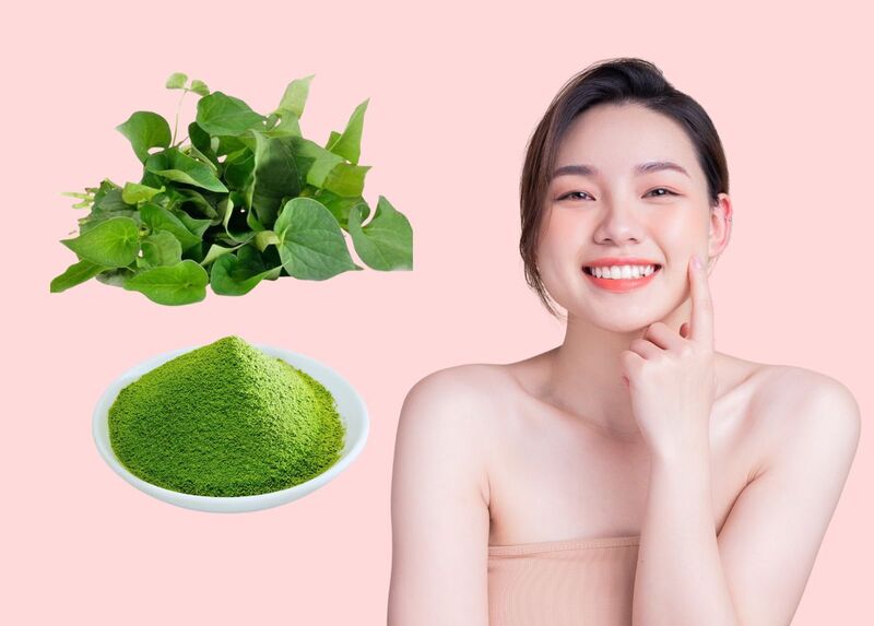 Cách làm bột diếp cá tại nhà mang lại hiệu quả cao