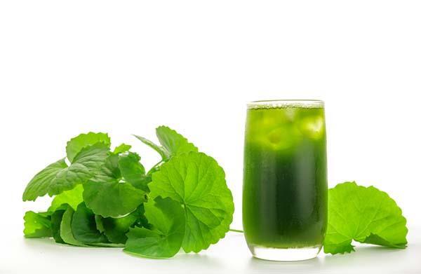Rau má bao nhiêu calo? người giảm cân cần lưu ý