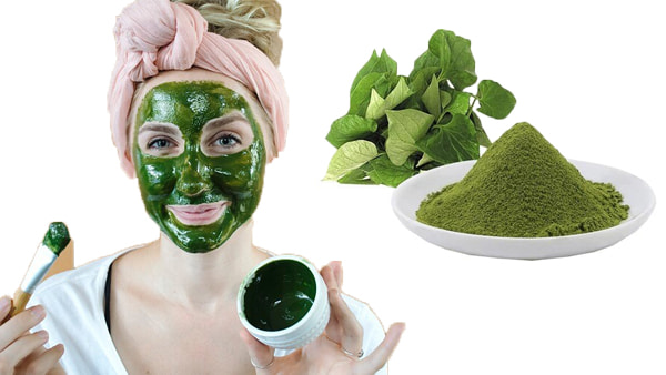 Dùng bột diếp cá đắp mặt có tốt không